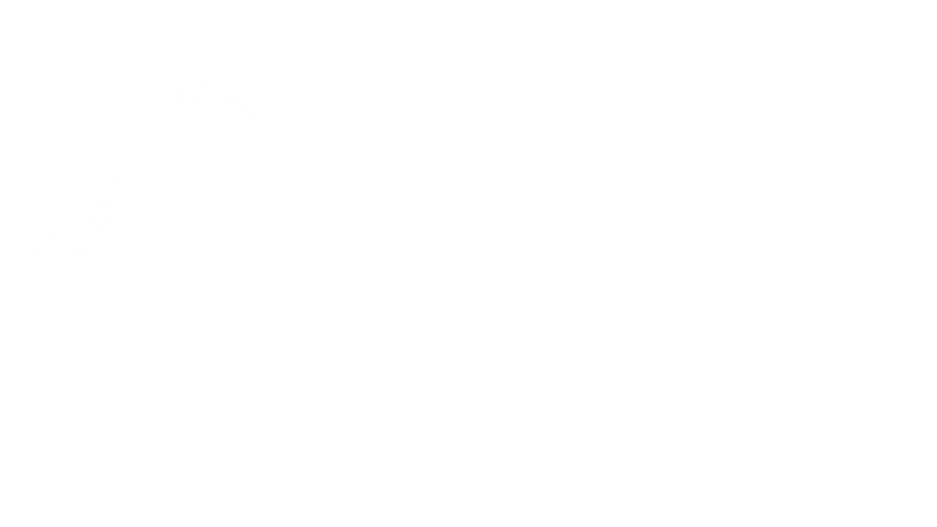 Partner 5